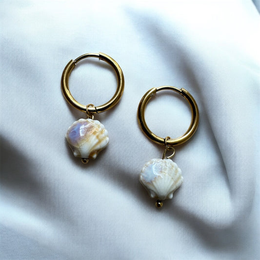 Le coquillage - Sable